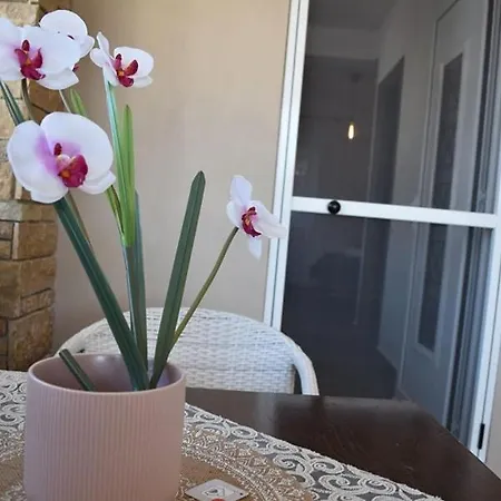 Lägenhet Aigli Luxury Nea Roda