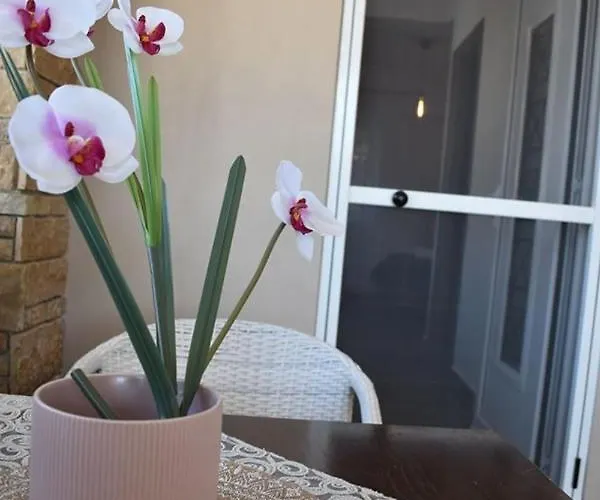 Apartamento Aigli Luxury Nea Roda